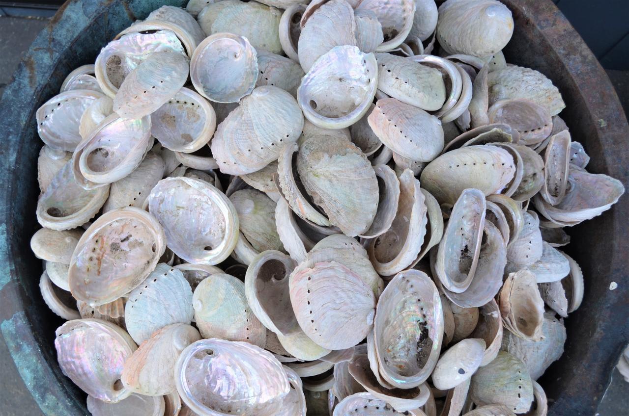 Flotsam Seaside