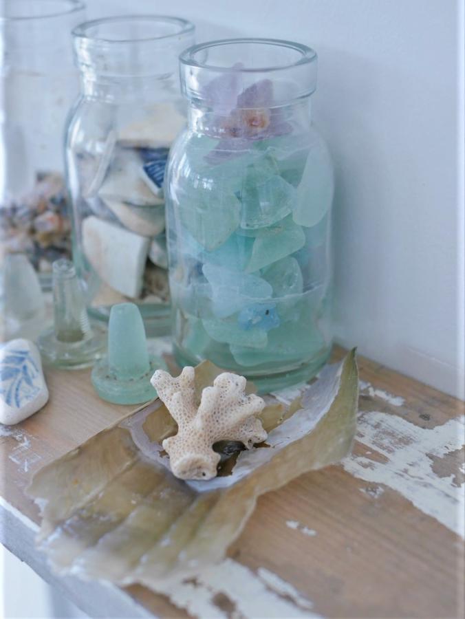 Flotsam Seaside Dunalley
